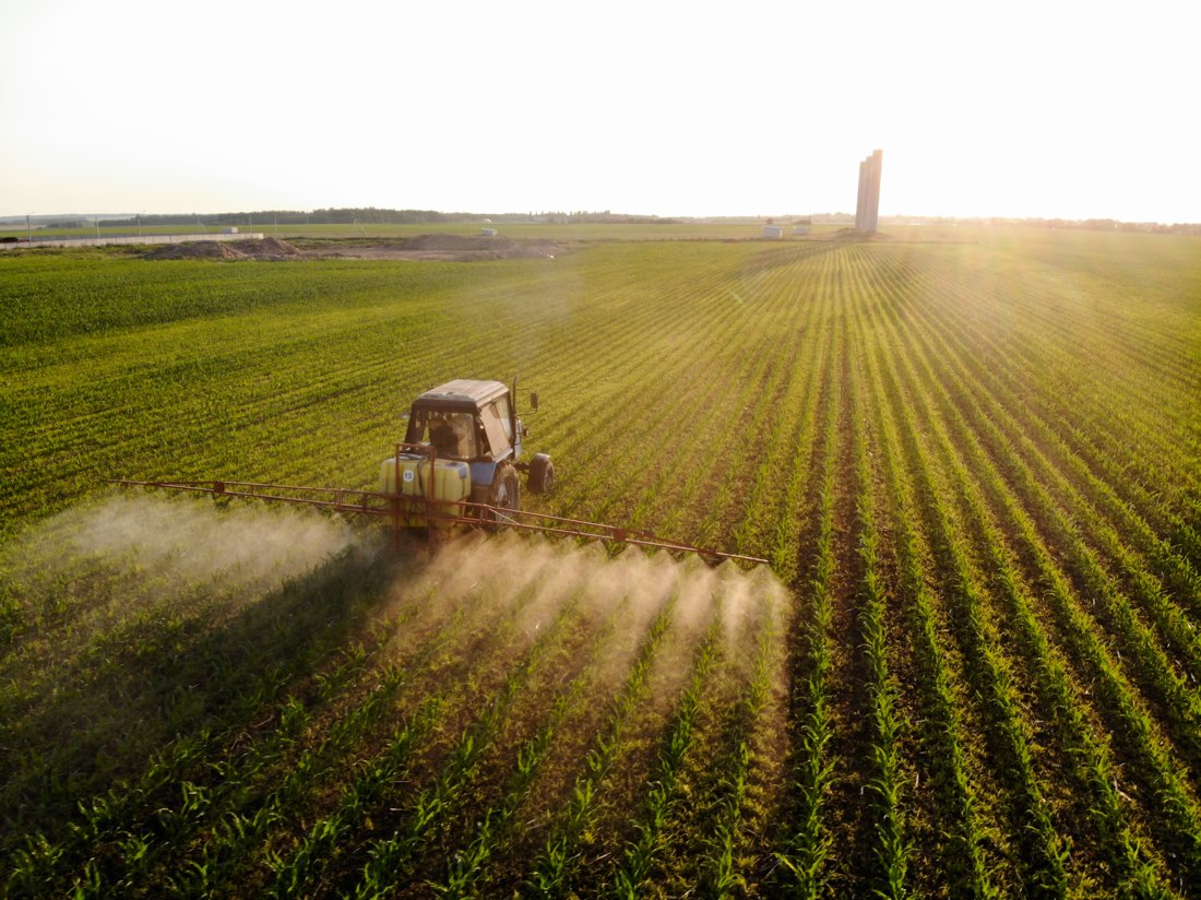 Plantação e atividades no campo